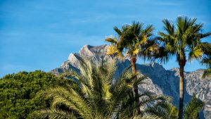 Sierra Blanca Area Guide